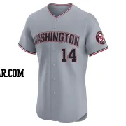 Ildemaro Vargas Men's Washington Nationals Gray Elite Road Jersey