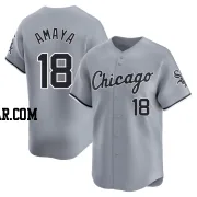 Jacob Amaya Youth Chicago White Sox Gray Limited Road Jersey