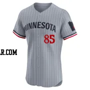 Jair Camargo Men's Minnesota Twins Gray Elite Road Jersey