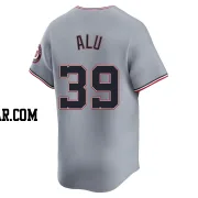 Jake Alu Youth Washington Nationals Gray Limited Road Jersey