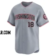 Jake Noll Men's Washington Nationals Gray Limited Road Jersey