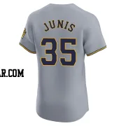 Jakob Junis Men's Milwaukee Brewers Gray Elite Road Jersey