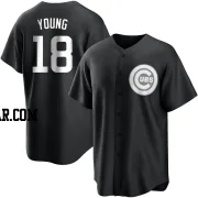 Jared Young Men's Chicago Cubs Black/White Replica Jersey