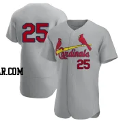 Jared Young Men's St. Louis Cardinals Gray Authentic Road Jersey