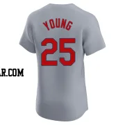 Jared Young Men's St. Louis Cardinals Gray Elite Road Jersey