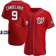 Jeimer Candelario Men's Washington Nationals Red Authentic Alternate Jersey