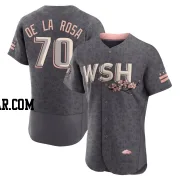 Jeremy De La Rosa Men's Washington Nationals Gray Authentic 2022 City Connect Jersey