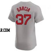 Jhostynxon Garcia Men's Boston Red Sox Gray Elite Road Jersey