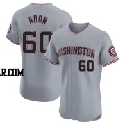 Joan Adon Men's Washington Nationals Gray Elite Road Jersey