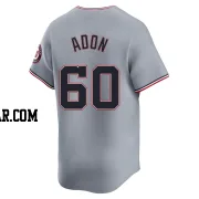 Joan Adon Men's Washington Nationals Gray Limited Road Jersey