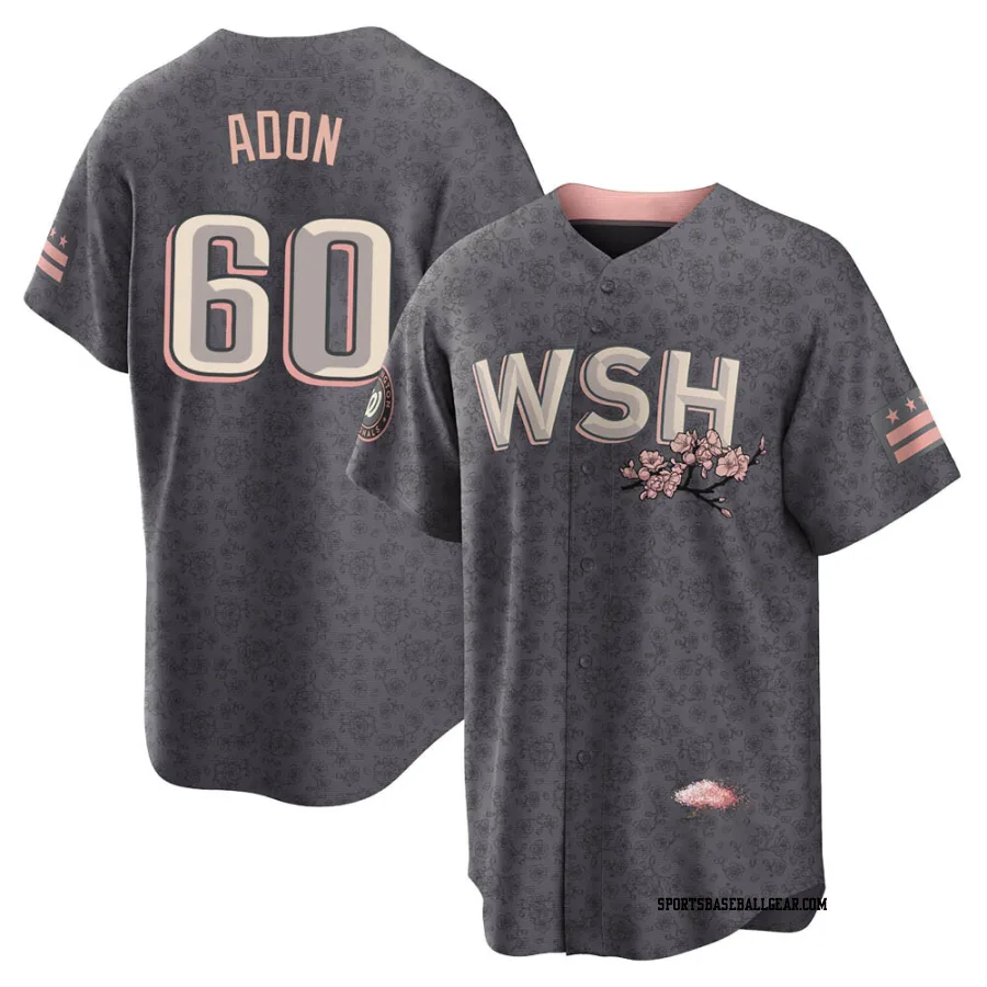 Joan Adon Youth Washington Nationals Gray Replica 2022 City Connect Jersey