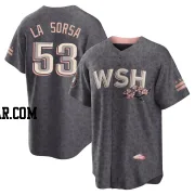 Joe La Sorsa Men's Washington Nationals Gray Replica 2022 City Connect Jersey