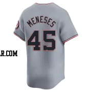 Joey Meneses Men's Washington Nationals Gray Limited Road Jersey