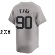 Jorbit Vivas Youth New York Yankees Gray Limited Away Jersey