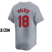 Jordan Walker Men's St. Louis Cardinals Gray Limited Away Jersey