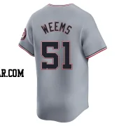 Jordan Weems Youth Washington Nationals Gray Limited Road Jersey