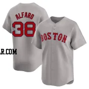 Jorge Alfaro Youth Boston Red Sox Gray Limited Away Jersey