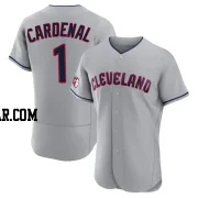 Jose Cardenal Men's Cleveland Guardians Gray Authentic Road Jersey