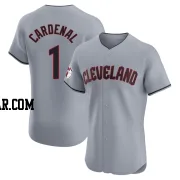 Jose Cardenal Men's Cleveland Guardians Gray Elite Road Jersey