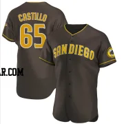 Jose Castillo Men's San Diego Padres Brown Authentic Road Jersey