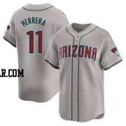 Jose Herrera Men's Arizona Diamondbacks Gray Limited Away Jersey