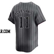 Jose Iglesias Men's New York Mets Limited Graphite 2024 City Connect Jersey