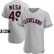 Jose Mesa Men's Cleveland Guardians Gray Authentic Road Jersey