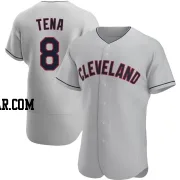 Jose Tena Men's Cleveland Guardians Gray Authentic Road Jersey