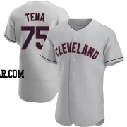 Jose Tena Men's Cleveland Guardians Gray Authentic Road Jersey