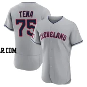 Jose Tena Men's Cleveland Guardians Gray Authentic Road Jersey