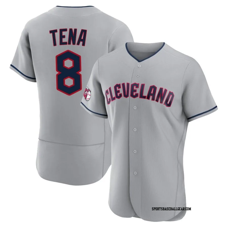 Jose Tena Men's Cleveland Guardians Gray Authentic Road Jersey