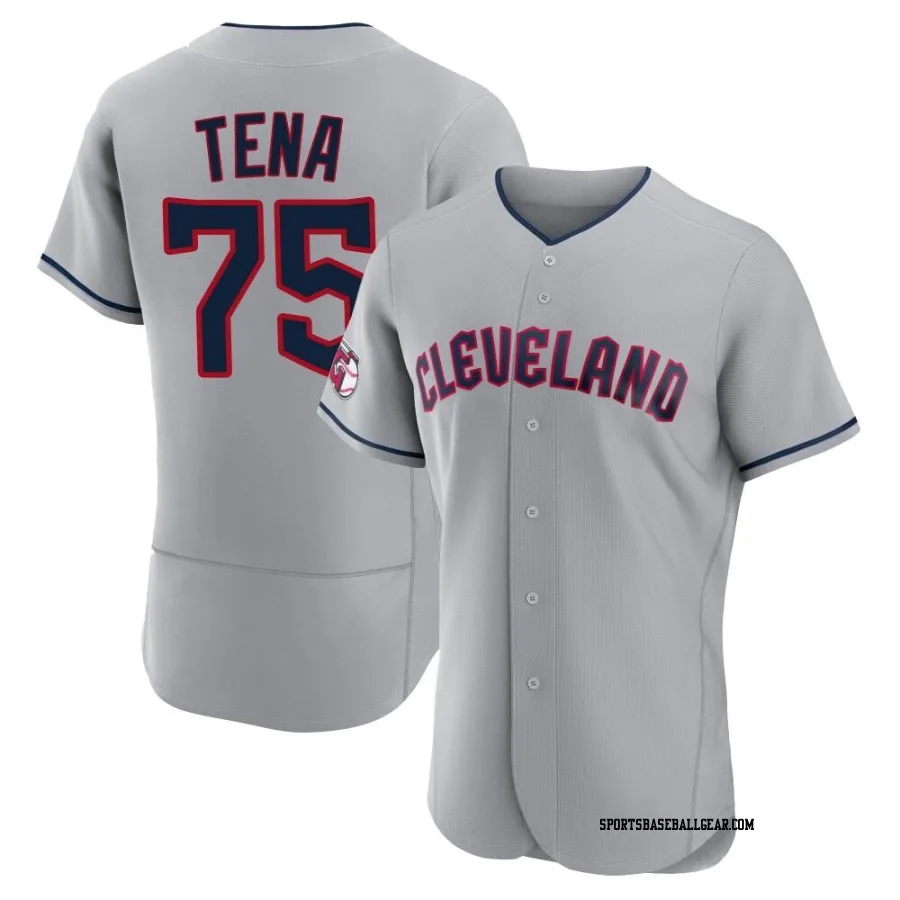 Jose Tena Men's Cleveland Guardians Gray Authentic Road Jersey