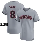 Jose Tena Men's Cleveland Guardians Gray Elite Road Jersey