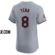 Jose Tena Men's Cleveland Guardians Gray Elite Road Jersey