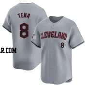 Jose Tena Men's Cleveland Guardians Gray Limited Road Jersey