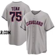 Jose Tena Men's Cleveland Guardians Gray Replica Road Jersey