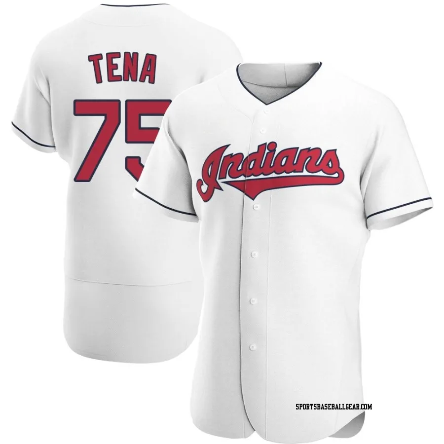 Jose Tena Men's Cleveland Guardians White Authentic Home Jersey