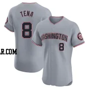 Jose Tena Men's Washington Nationals Gray Elite Road Jersey