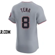 Jose Tena Men's Washington Nationals Gray Elite Road Jersey