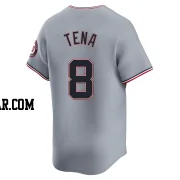 Jose Tena Men's Washington Nationals Gray Limited Road Jersey