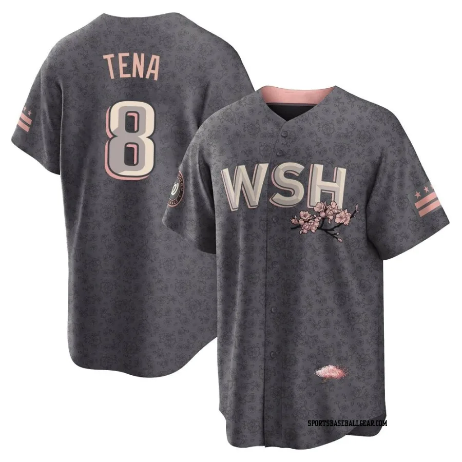 Jose Tena Men's Washington Nationals Gray Replica 2022 City Connect Jersey