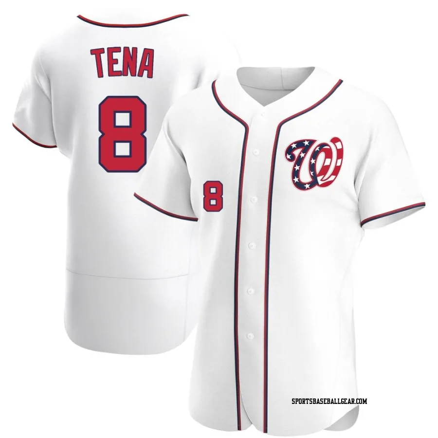 Jose Tena Men's Washington Nationals White Authentic Alternate Jersey