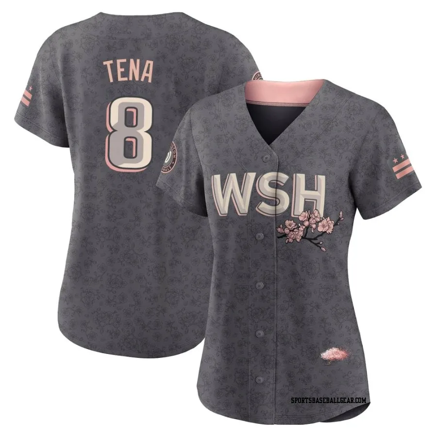 Jose Tena Women's Washington Nationals Gray Authentic 2022 City Connect Jersey