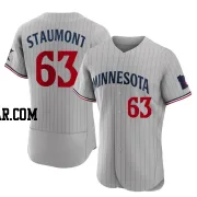 Josh Staumont Men's Minnesota Twins Gray Authentic Road Jersey