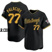 Joshua Palacios Men's Pittsburgh Pirates Black Limited Alternate Jersey