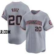 Keibert Ruiz Youth Washington Nationals Gray Limited Road Jersey