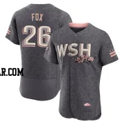 Lucius Fox Men's Washington Nationals Gray Authentic 2022 City Connect Jersey