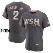 Luis Garcia Jr. Men's Washington Nationals Gray Authentic 2022 City Connect Jersey