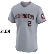 Luis Garcia Jr. Men's Washington Nationals Gray Elite Road Jersey