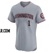 MacKenzie Gore Men's Washington Nationals Gray Elite Road Jersey